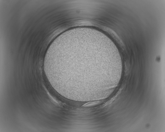 X0000116891225201002021202