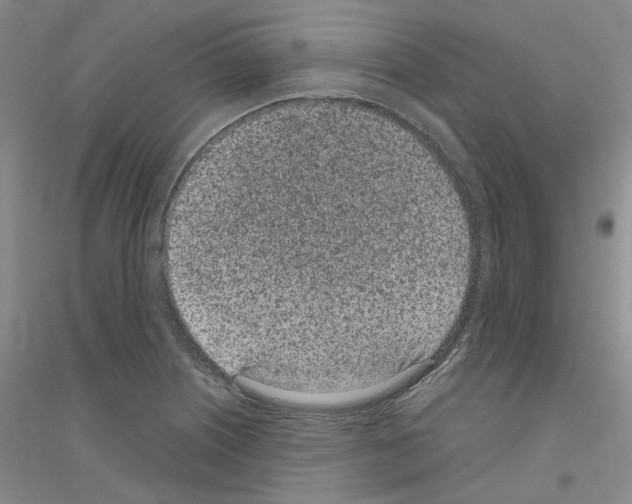 X0000116891226201002021202