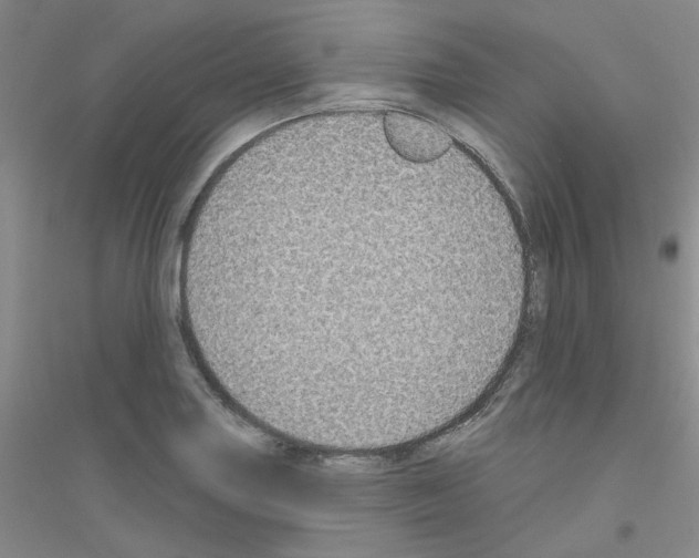 X0000116891227201002021202