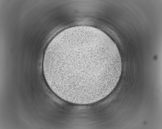 X0000116891228201002021202