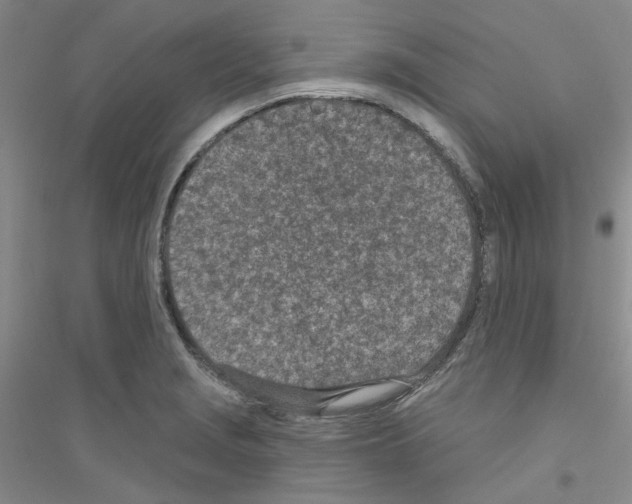 X0000116891229201002021202