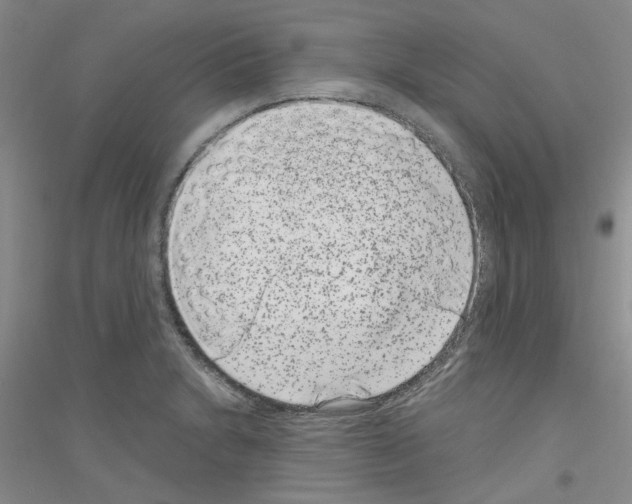 X0000116891230201002021202