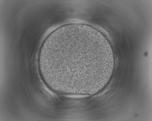 X0000116891231201002021202