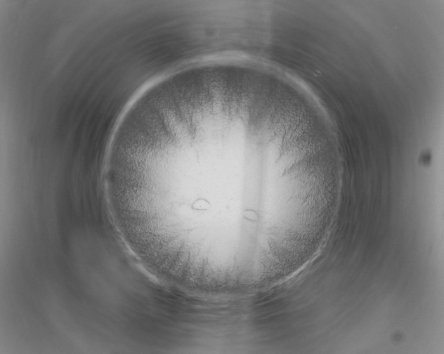 X0000116891232201002021202