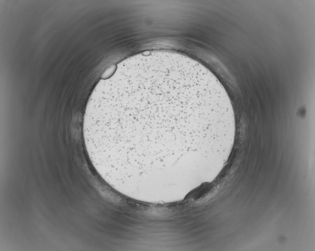 X0000116891233201002021202