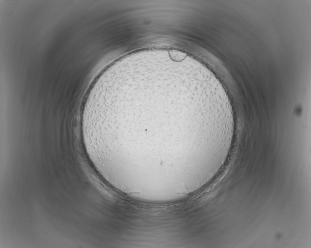 X0000116891234201002021202