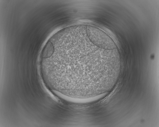 X0000116891235201002021202