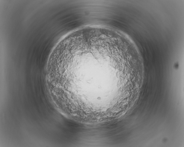 X0000116891236201002021202