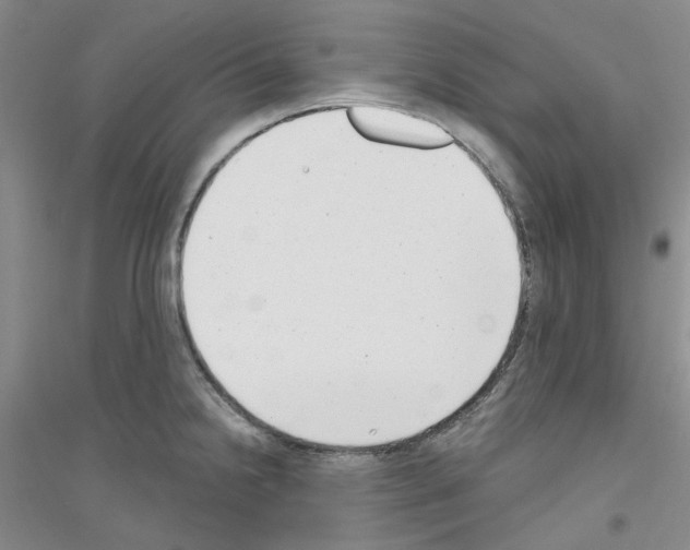 X0000116891238201002021202