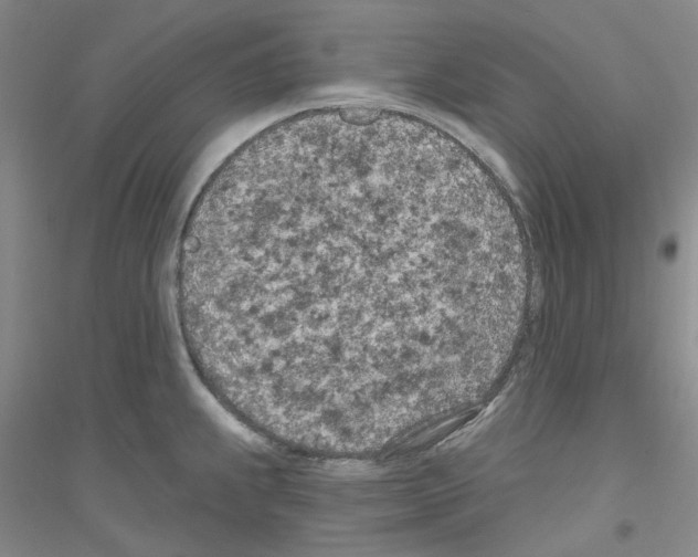 X0000116891239201002021202