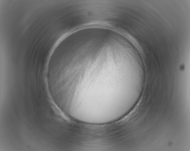 X0000116891240201002021202