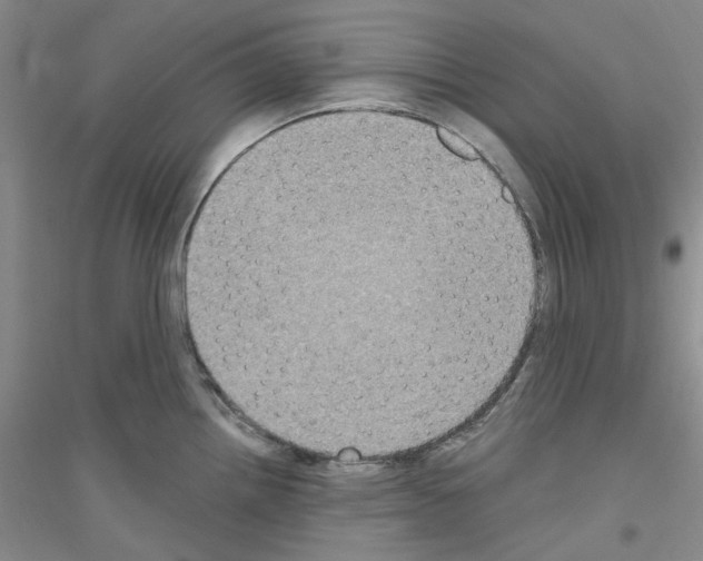 X0000116891242201002021202