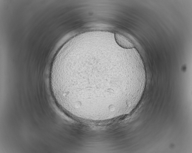 X0000116891243201002021202