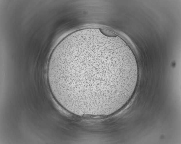 X0000116891244201002021202