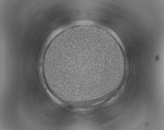 X0000116891245201002021202