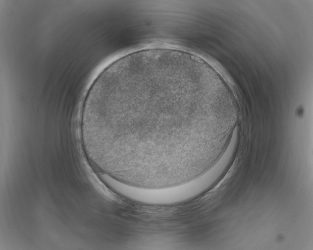 X0000116891246201002021202