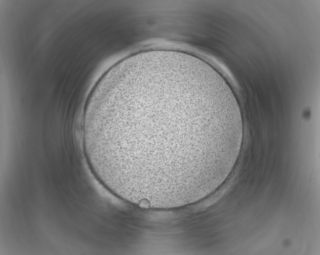 X0000116891247201002021202