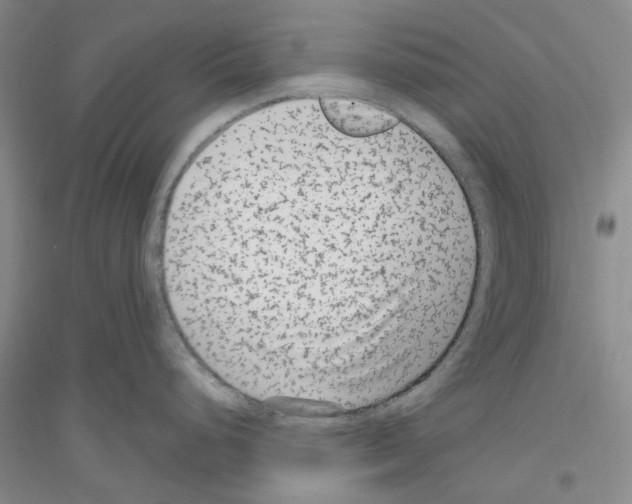 X0000116891248201002021202