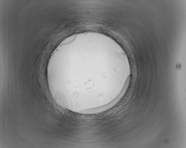 X0000116891249201002021202