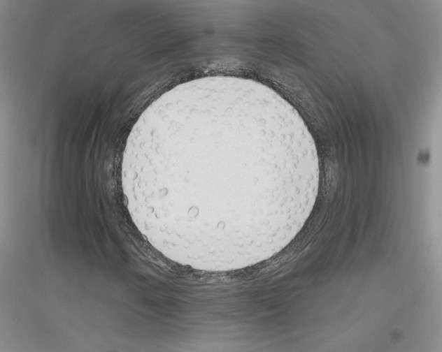 X0000116891250201002021202