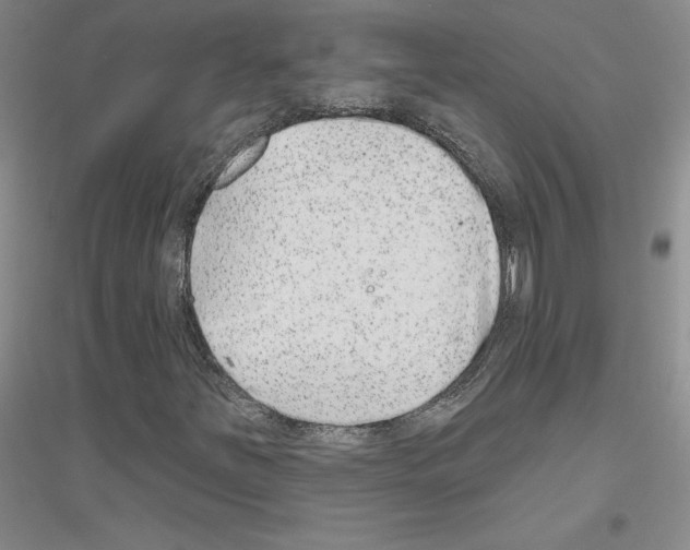 X0000116891251201002021202