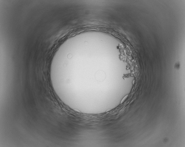 X0000116891253201002021202