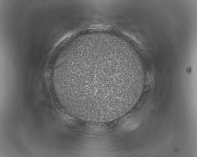 X0000116891254201002021202