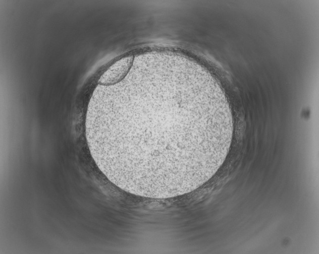 X0000116891255201002021202