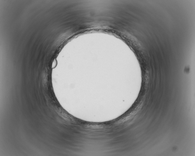 X0000116891257201002021202