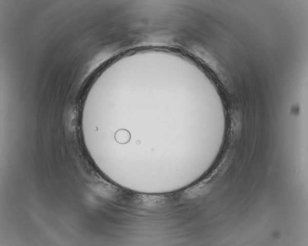 X0000116891258201002021202