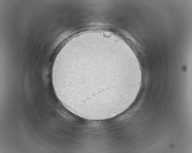 X0000116891259201002021202