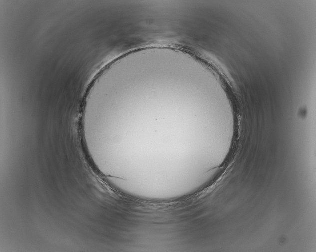 X0000116891260201002021202