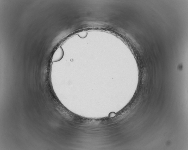 X0000116891261201002021202