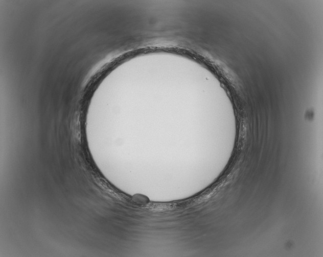 X0000116891262201002021202