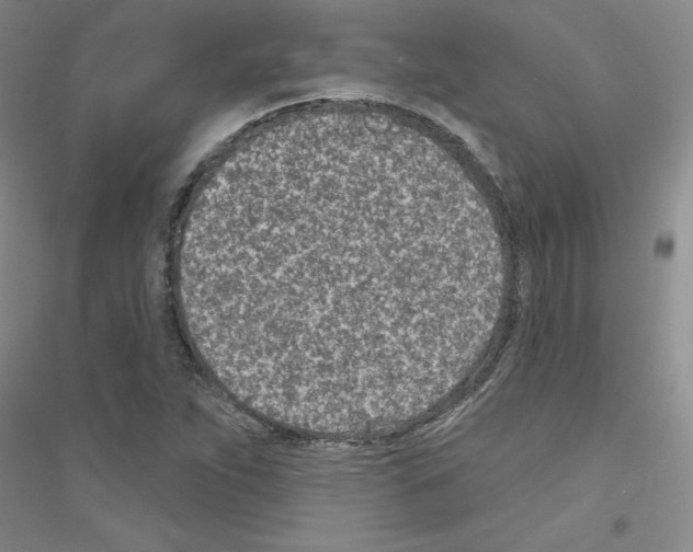 X0000116891263201002021202