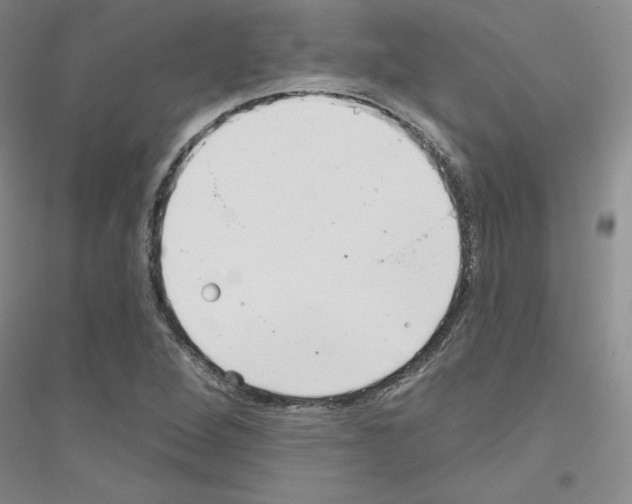 X0000116891264201002021202