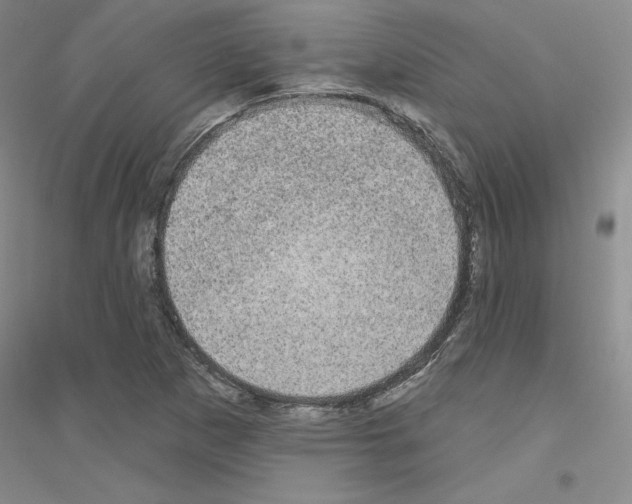 X0000116891265201002021202