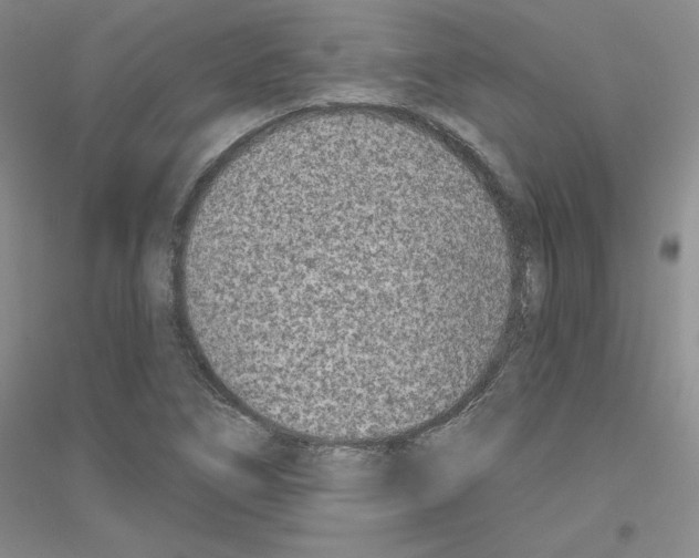 X0000116891266201002021202