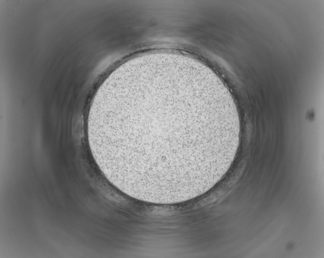 X0000116891267201002021201