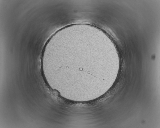 X0000116891268201002021201