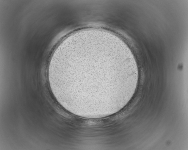 X0000116891271201002021201