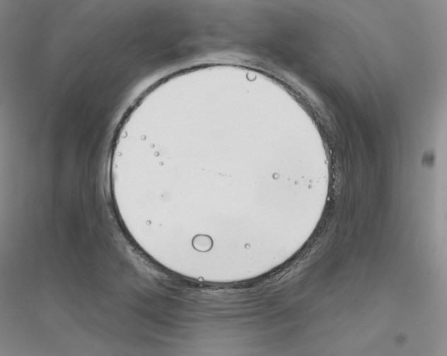 X0000116891272201002021201