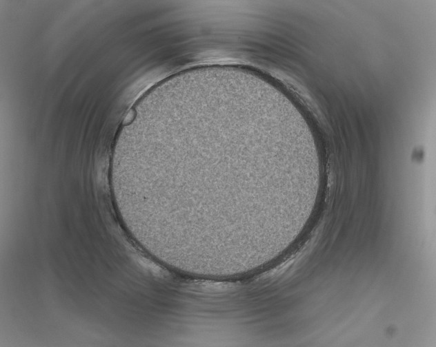 X0000116891273201002021201