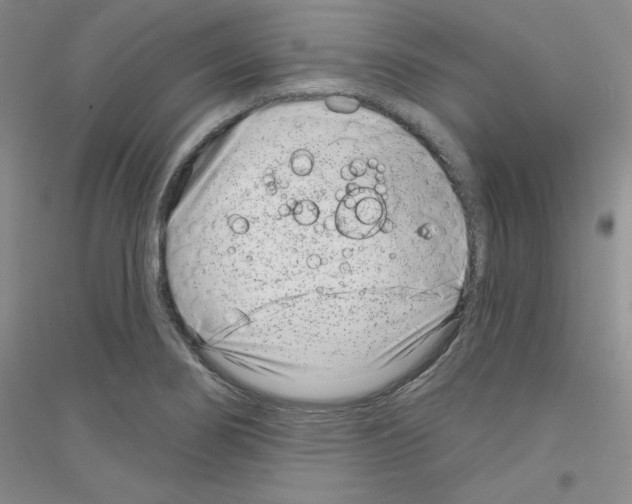 X0000116891274201002021201