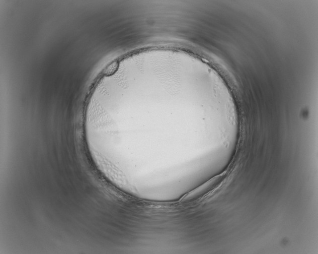 X0000116891275201002021201