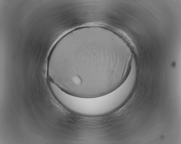 X0000116891276201002021201