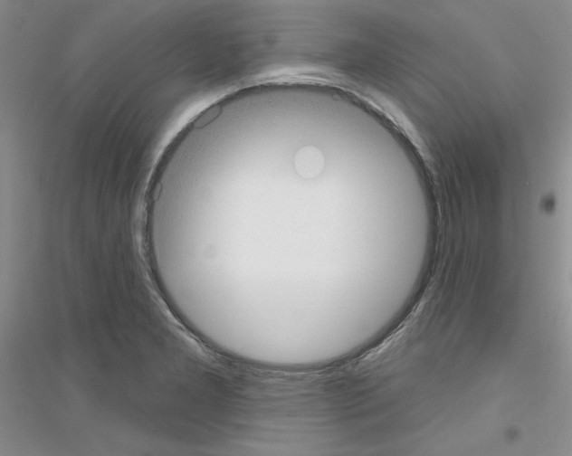 X0000116891277201002021201