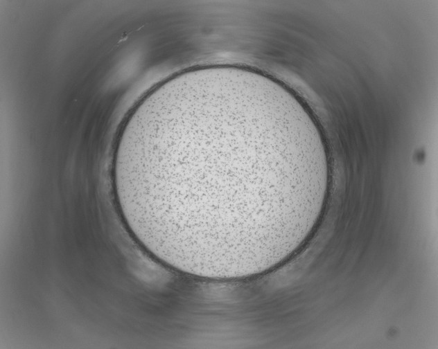 X0000116891278201002021201