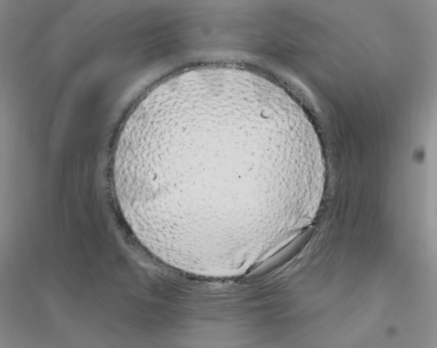 X0000116891279201002021201