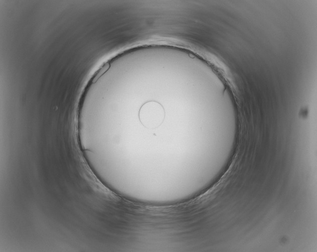 X0000116891280201002021201